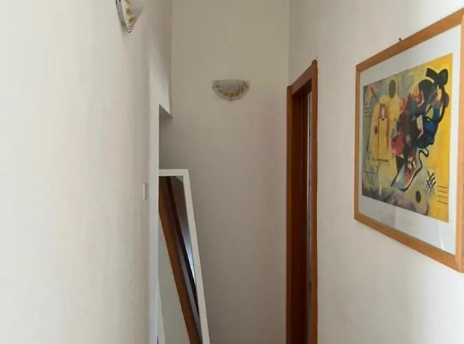 Mamo1 - In Pieno Centro Citta *