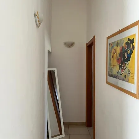 Mamo1 - In Pieno Centro Citta *